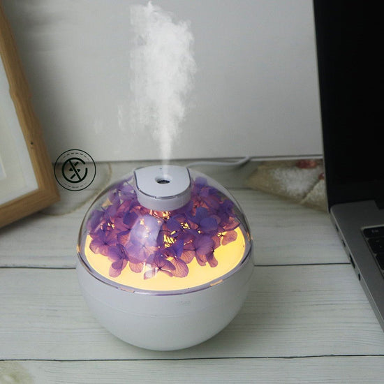 Creative Home Silent Air Humidifier - Sarah Nova