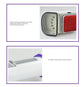 650W mini steam brush electric iron - Sarah Nova