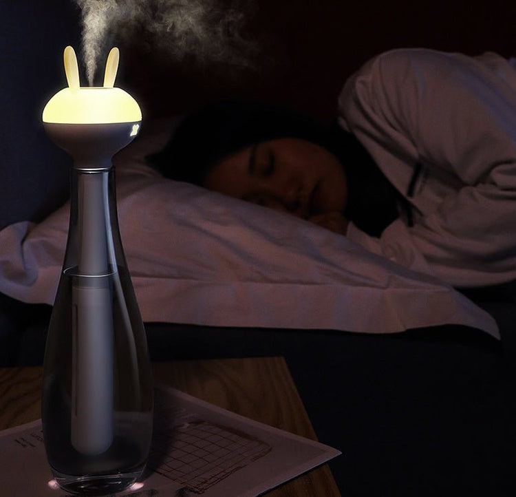 USB Humidifier for Home Travel - Sarah Nova